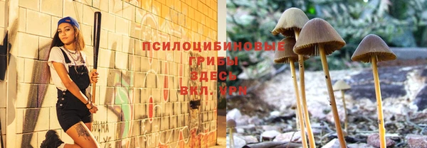 ALPHA PVP Баксан