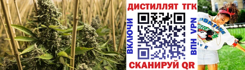 Дистиллят ТГК концентрат  купить наркотик  нарко площадка как зайти  Темников 